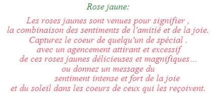 rose jaune