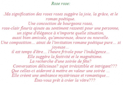 Rose rose