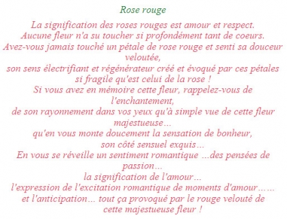 Rose rouge