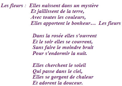 les fleurs