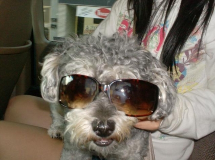 moi et ma ptite chienne 