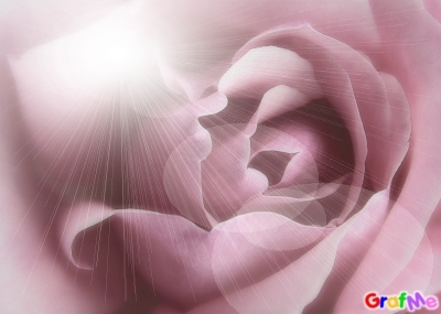 Ma vie , ma personne