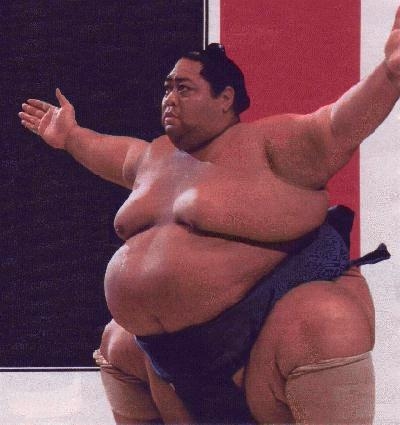 sumo