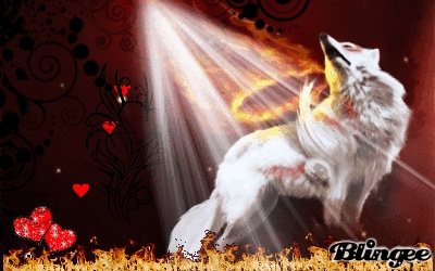 Mon blingeee est trop niice