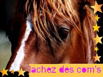 des des des des des des des com's silvouple