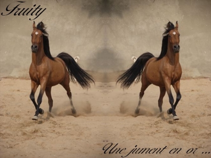 j'ai beaucoue d'animaux que j'ai mie sur internet 