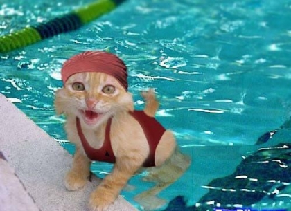 un chat ki nage