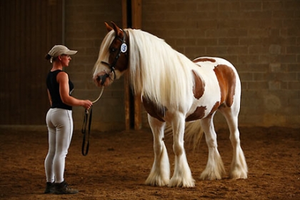 j'ai une longue crini�re 