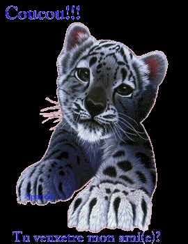 tu veux etre mon ami???