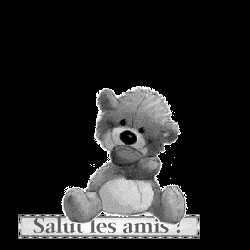 salut les amis