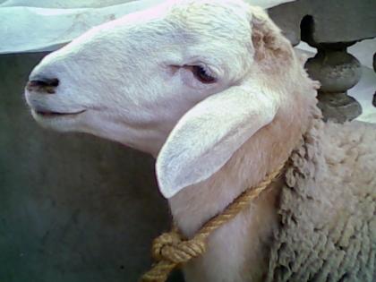 baah c le 2me jr 2 la ft 