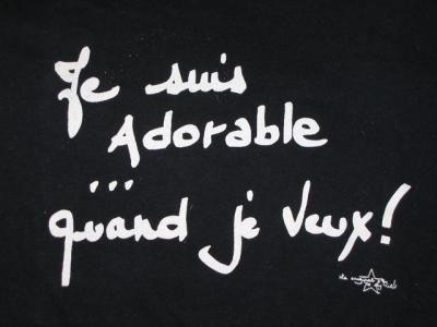 je suis simplement moa