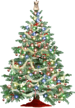 Le sapin de Noel.