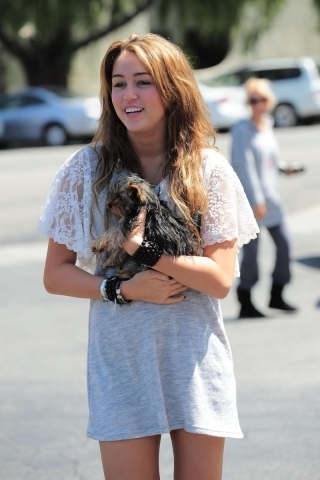 et la miley prom�ne sont chien mais....