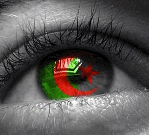 jais du sang arabe et fier