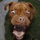 AHHHHHHHH LUI IL EST BIZARE