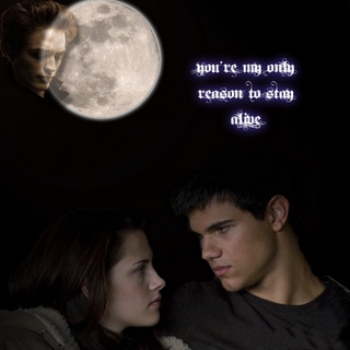 jack and bella <3