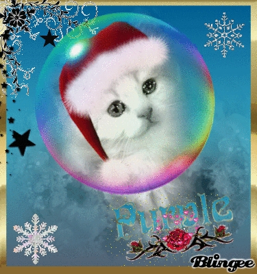 Joyeux Noel Petit Chat