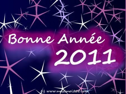                   ^^bonne ann�e 2011^^