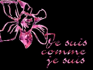 je suis comme je suis