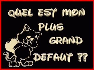 quel est mon plus grand d�faut ? 