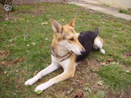 vvvvvvvvvvvvvvvvvvvvvvvvvvvvvvvvvvvvvvvvvvvvvvvvvvvvv