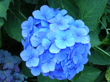 ma coOul3ur pr3f3r3 3t 3n m3m3 te3mp ma fl3ur pr3fr3