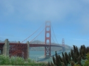 Mon petit paradis sur terre 