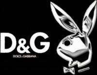 d&g