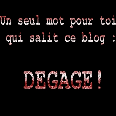 ne salit pas mon blog 