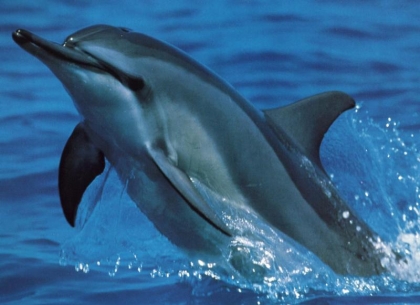 moi mon msn c est cest clara20012010@live.fr