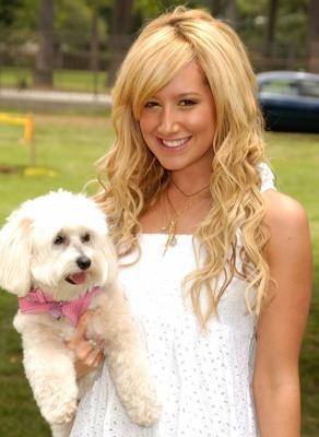 ashley tisdale et son chien