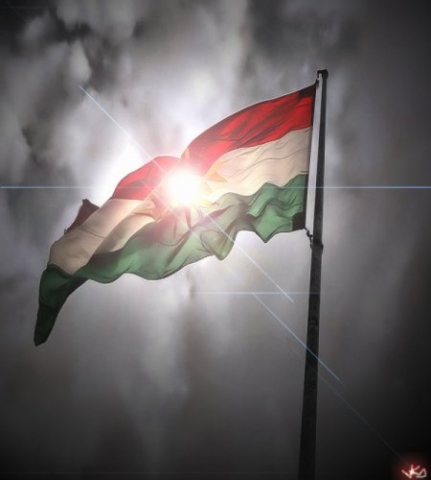 Moi je vous aimes tous