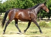 moi  j adore les ............