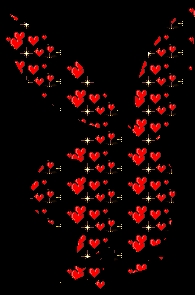 tro beaux le lapin non