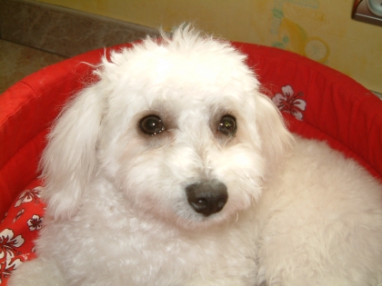 ..........................................................mylene...............................................................