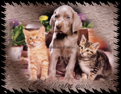 mes animaux preferes