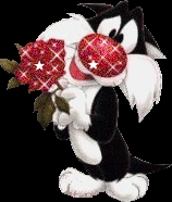 j veux avoir des amies russe canadiennnes fran�aise  et d'autres