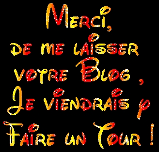 votre blog