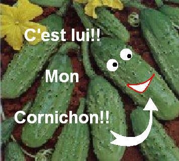 cornichon 