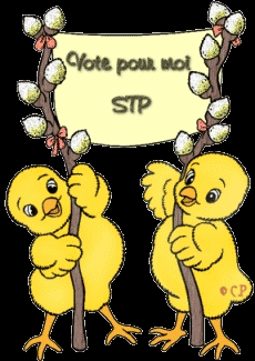 vote pour moi svp