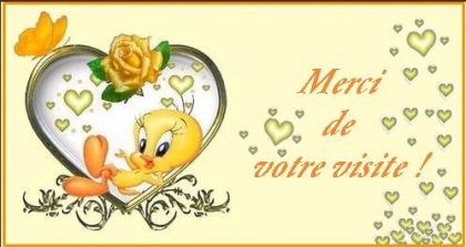 merci de votere visite