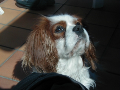 c'est nul d'�tre jeune