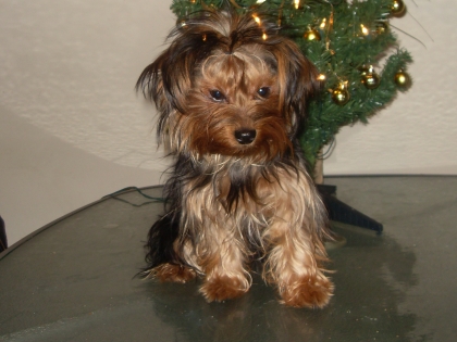 kelly est la plu s belle