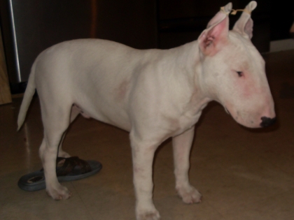 NIMPORTE QUOI MEN ...