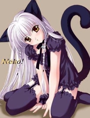 Neko-Girl ! ! ! 