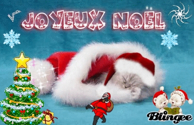 Joyeux Noel