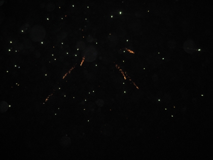 voila une foto de feux d artifice prise par moi