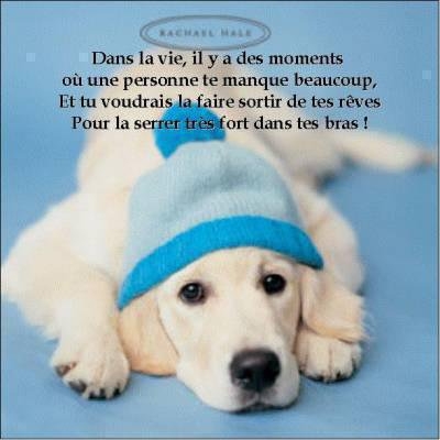 ele est belle non non non non non non 