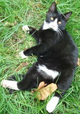 ces pepette elle est chou 